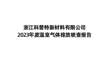 碳排放核查報(bào)告-浙江科普特新材料有限公司